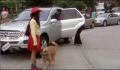 dr dolittle 3-avi_163.jpg